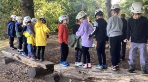 Article Thumbnail Image